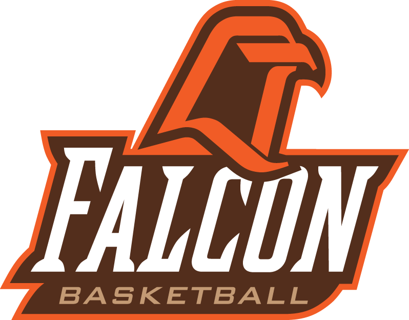 Bowling Green Falcons 1999-2005 Alternate Logo v2 diy iron on heat transfer